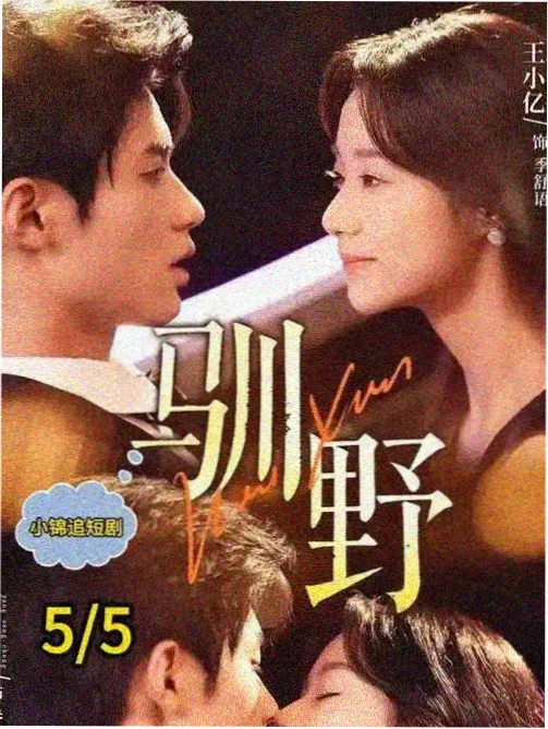 8k影视光影榜单剧集《空港十九时》缩略图